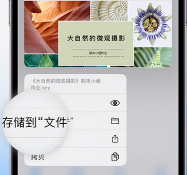 黄江镇apple维修中心分享iPhone文件应用中存储和找到下载文件