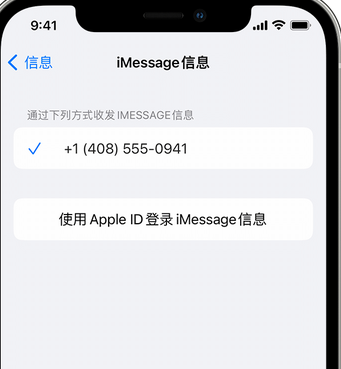 黄江镇apple维修iPhone上无法正常发送iMessage信息 