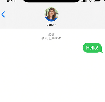 黄江镇apple维修iPhone上无法正常发送iMessage信息