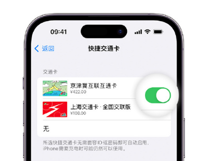 黄江镇apple维修点分享iPhone上更换Apple Pay快捷交通卡手绘卡面 