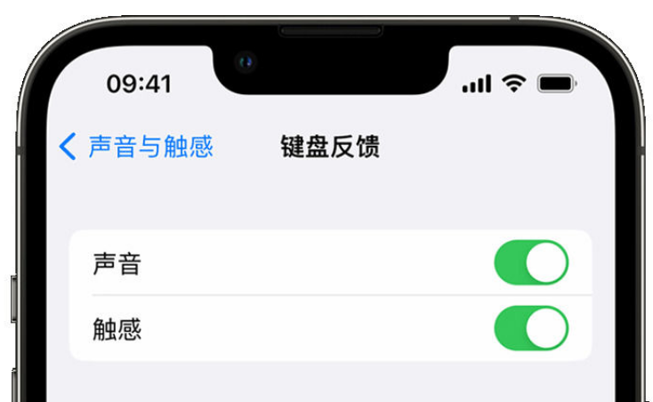 黄江镇苹果手机维修分享iPhone 14触感键盘使用方法 