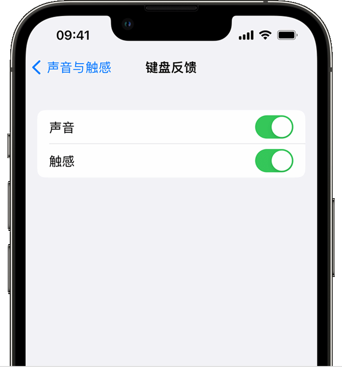 黄江镇苹果14维修店分享如何在 iPhone 14 机型中使用触感键盘 