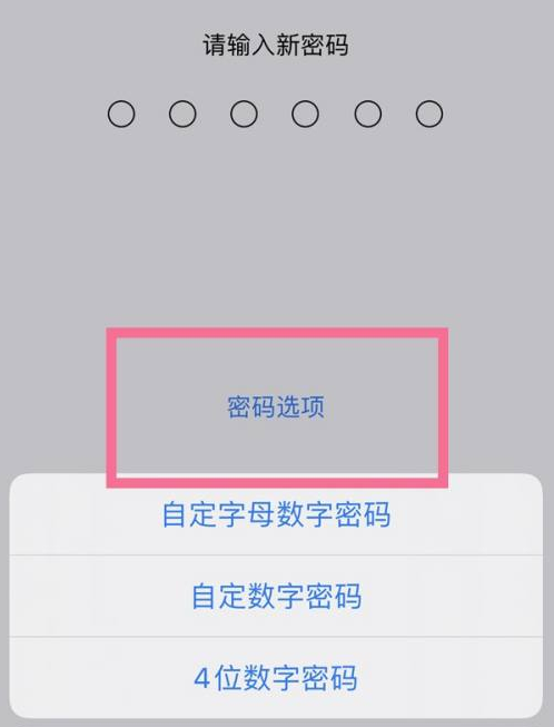 黄江镇苹果14维修分享iPhone 14plus设置密码的方法 